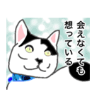 闘う黒猫の擬音語スタンプなど（個別スタンプ：28）