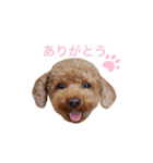 My Chocolat 2 ☆（個別スタンプ：2）