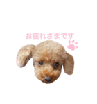 My Chocolat 2 ☆（個別スタンプ：4）