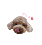 My Chocolat 2 ☆（個別スタンプ：6）