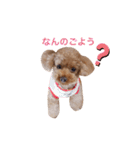 My Chocolat 2 ☆（個別スタンプ：11）