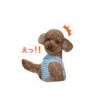 My Chocolat 2 ☆（個別スタンプ：12）