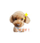 My Chocolat 2 ☆（個別スタンプ：13）
