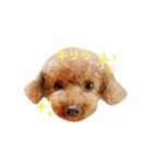 My Chocolat 2 ☆（個別スタンプ：14）