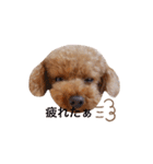 My Chocolat 2 ☆（個別スタンプ：18）