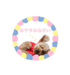 My Chocolat 2 ☆（個別スタンプ：21）