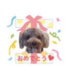 My Chocolat 2 ☆（個別スタンプ：25）