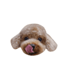My Chocolat 2 ☆（個別スタンプ：29）