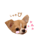 どうも、ちくわです（個別スタンプ：3）