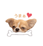 どうも、ちくわです（個別スタンプ：12）