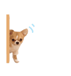 どうも、ちくわです（個別スタンプ：13）
