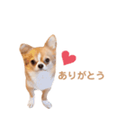 どうも、ちくわです（個別スタンプ：16）