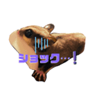 モモンガとトイプードルの日常つぶやき（個別スタンプ：2）