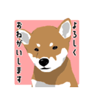 仕事で使える柴犬のスタンプ（個別スタンプ：4）