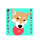 仕事で使える柴犬のスタンプ（個別スタンプ：13）