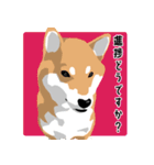 仕事で使える柴犬のスタンプ（個別スタンプ：16）