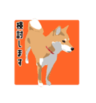 仕事で使える柴犬のスタンプ（個別スタンプ：20）