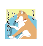 仕事で使える柴犬のスタンプ（個別スタンプ：21）