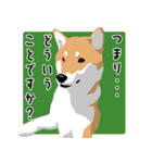 仕事で使える柴犬のスタンプ（個別スタンプ：22）