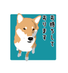 仕事で使える柴犬のスタンプ（個別スタンプ：23）