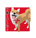 仕事で使える柴犬のスタンプ（個別スタンプ：28）