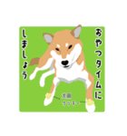 仕事で使える柴犬のスタンプ（個別スタンプ：31）