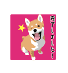 仕事で使える柴犬のスタンプ（個別スタンプ：32）