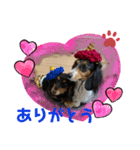 サナとゼノ（個別スタンプ：2）