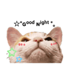 子猫のラン（個別スタンプ：4）
