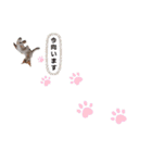 子猫のラン（個別スタンプ：31）