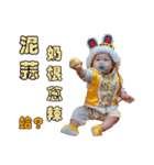 可愛い捲捲ちゃん（個別スタンプ：15）