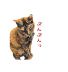ピコペコミミの可愛いスタンプ（個別スタンプ：1）