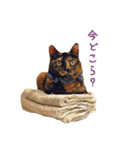 ピコペコミミの可愛いスタンプ（個別スタンプ：13）