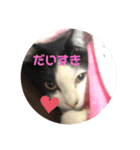 猫のこころちゃん（個別スタンプ：10）