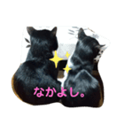 赤の他猫。（個別スタンプ：1）