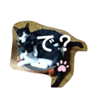 赤の他猫。（個別スタンプ：4）