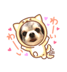 Loveわん♡more（個別スタンプ：1）