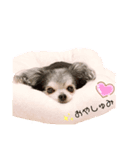 Loveわん♡more（個別スタンプ：8）