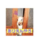 jikyo2（個別スタンプ：9）