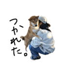 柴犬おもち2（個別スタンプ：10）