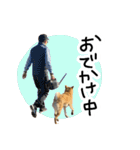 柴犬おもち2（個別スタンプ：32）