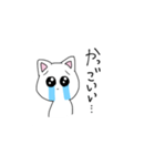 ちょっとオタクなネコ（個別スタンプ：5）