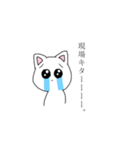 ちょっとオタクなネコ（個別スタンプ：17）