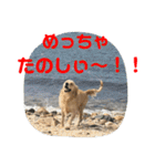 デン 2021（個別スタンプ：14）