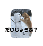 デン 2021（個別スタンプ：16）