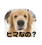 デン 2021（個別スタンプ：18）