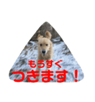 デン 2021（個別スタンプ：20）