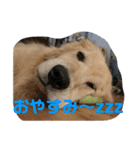 デン 2021（個別スタンプ：26）
