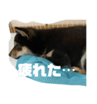 まさるの気持ちPart1（個別スタンプ：7）