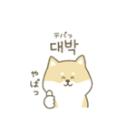 柴犬の韓国語（個別スタンプ：3）